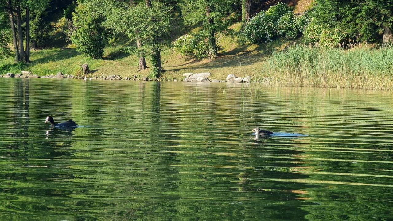 Dimensione Armonica - Elegance And Comfort Among Lakes And Hills Comabbio Exteriér fotografie